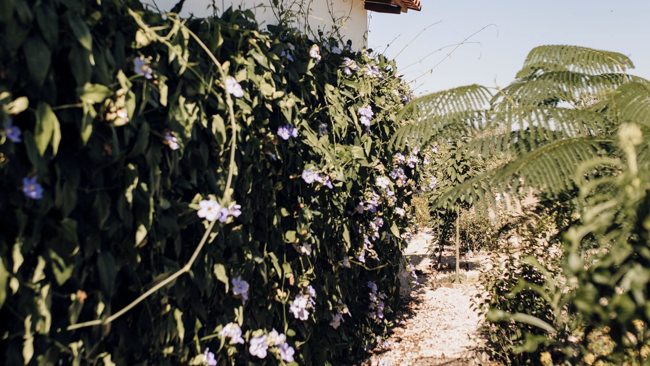 Photo of Outdoor in Alto Paraiso de Goias