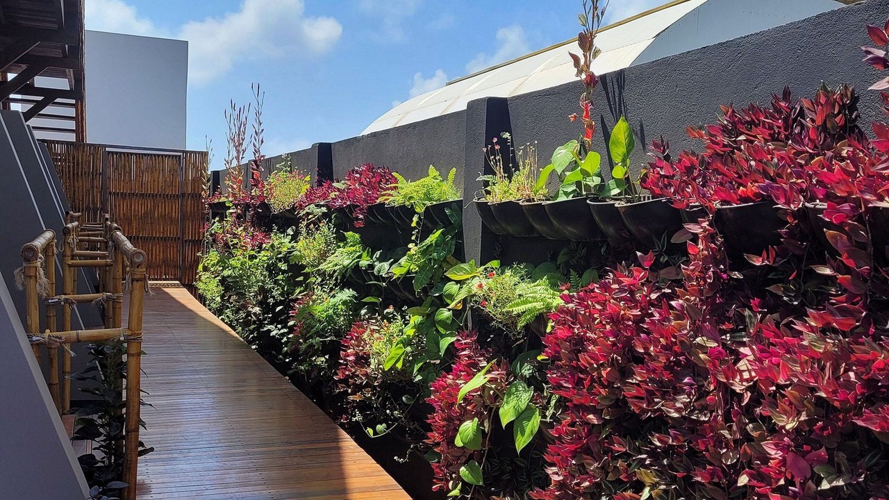 Photo of Outdoor in Floresta Velha