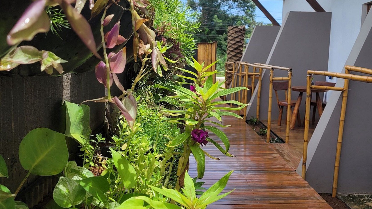 Photo of Outdoor in Floresta Velha