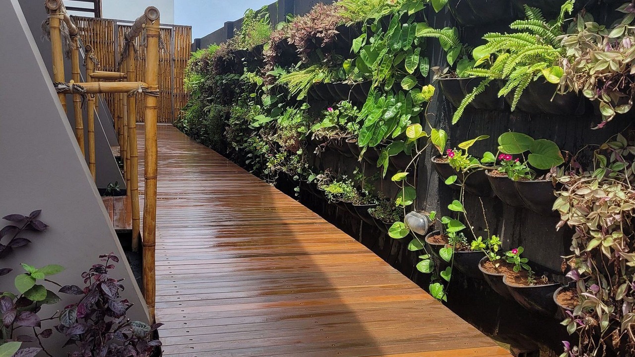 Photo of Outdoor in Floresta Velha