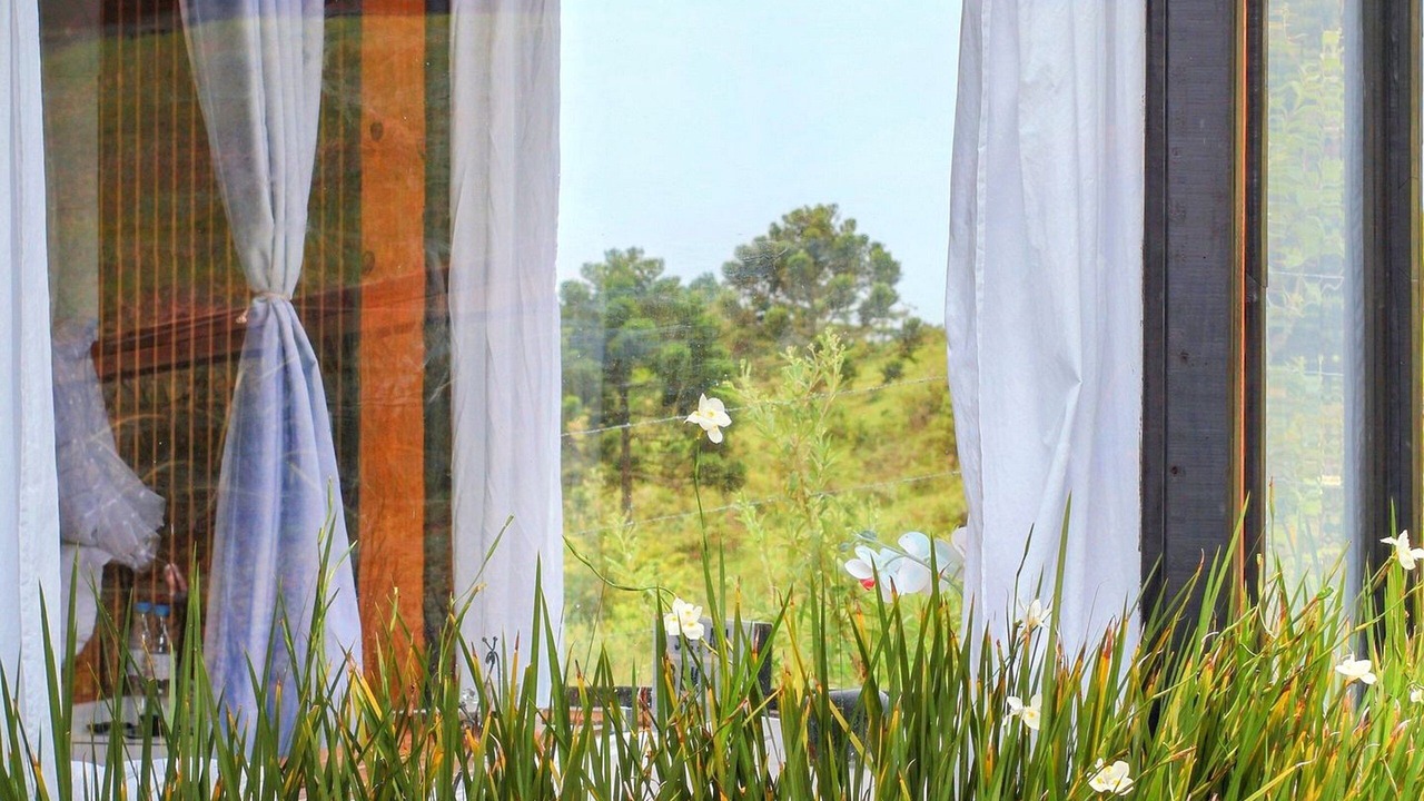 Photo of Outdoor in Alfredo Wagner
