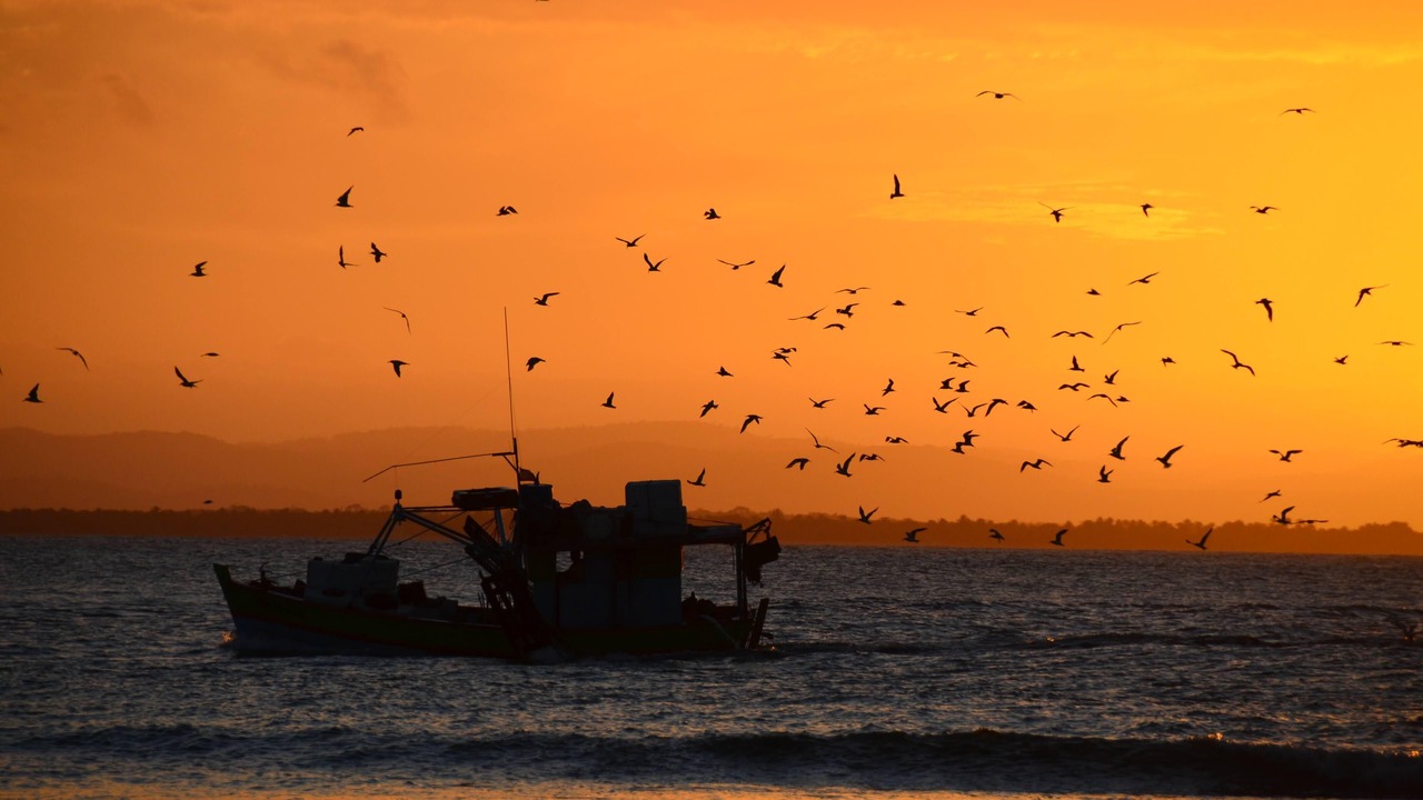 Photo of Others in Barra Grande