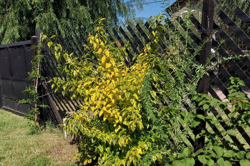 Photo of Outdoor in Roldan