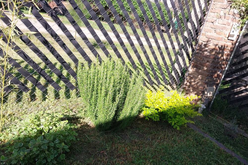 Photo of Outdoor in Roldan