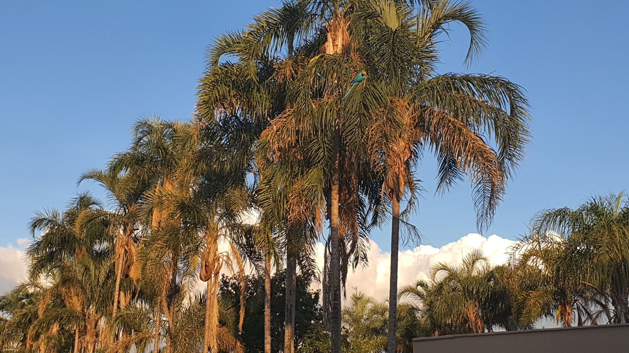 Photo of Outdoor in Alto Paraiso de Goias