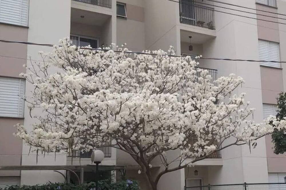 Photo of Outdoor in Campinas
