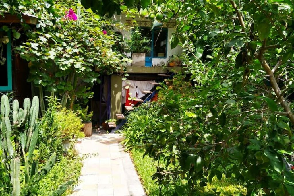 Photo of Outdoor in Tigre