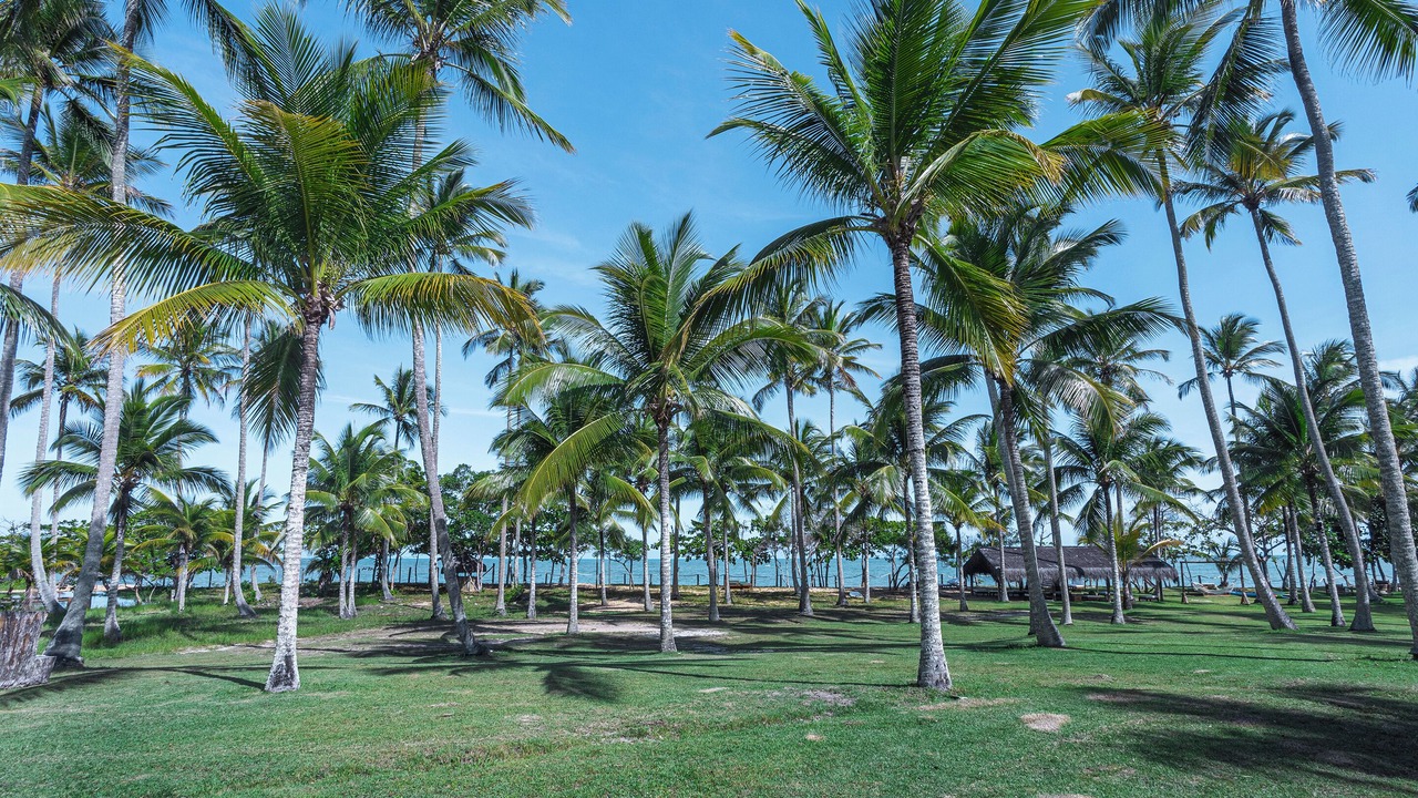 Photo of Outdoor in Curuipe