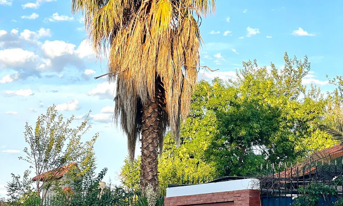 Photo of Outdoor in Cuadro Nacional