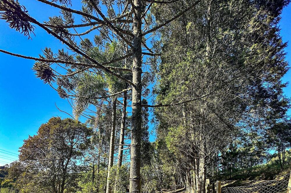 Photo of Outdoor in Piedade