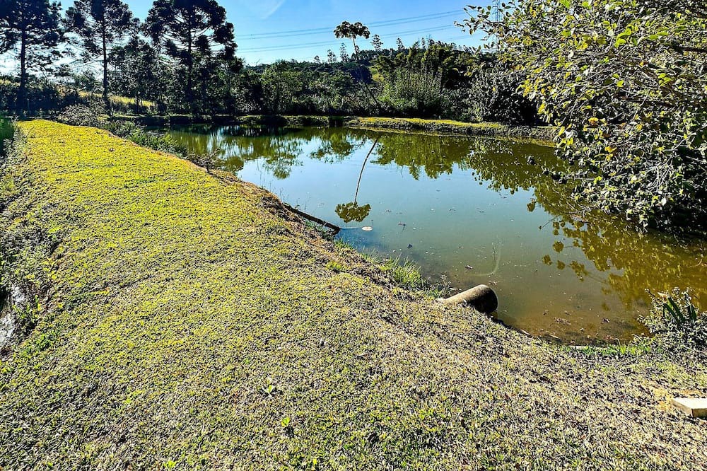 Photo of Outdoor in Piedade