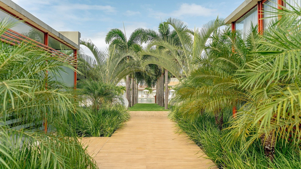 Photo of Outdoor in Pipa