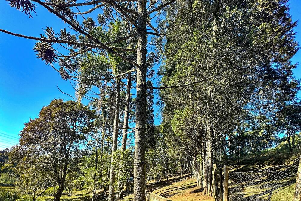 Photo of Outdoor in Piedade