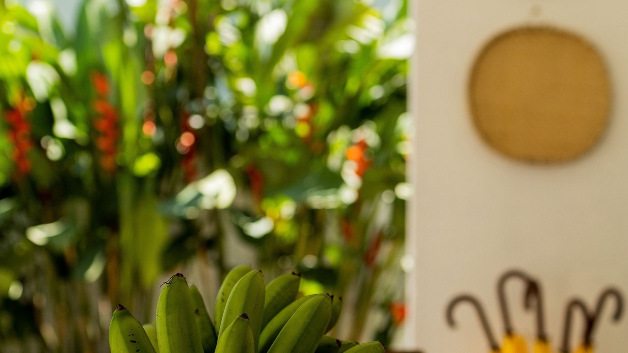Photo of Outdoor in Praia Grande