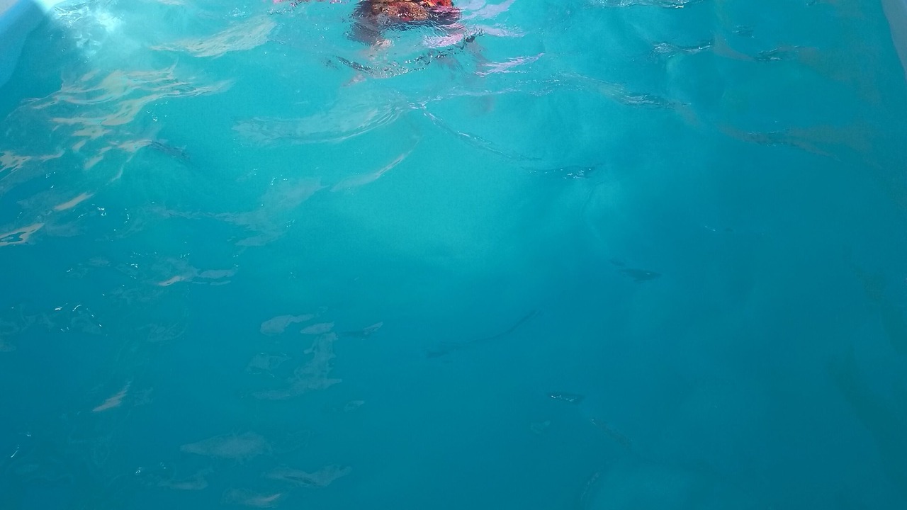 Photo of Others in Mongagua