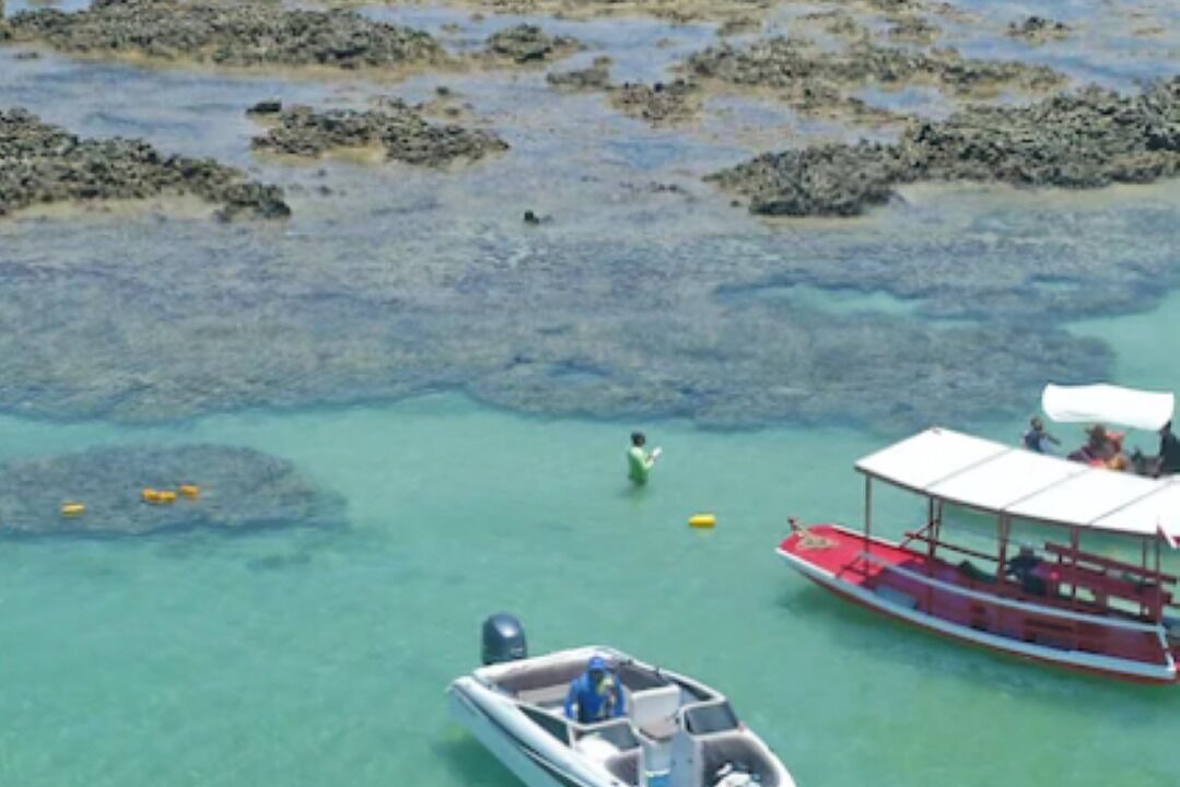 Photo of Others in Ponta do Mangue