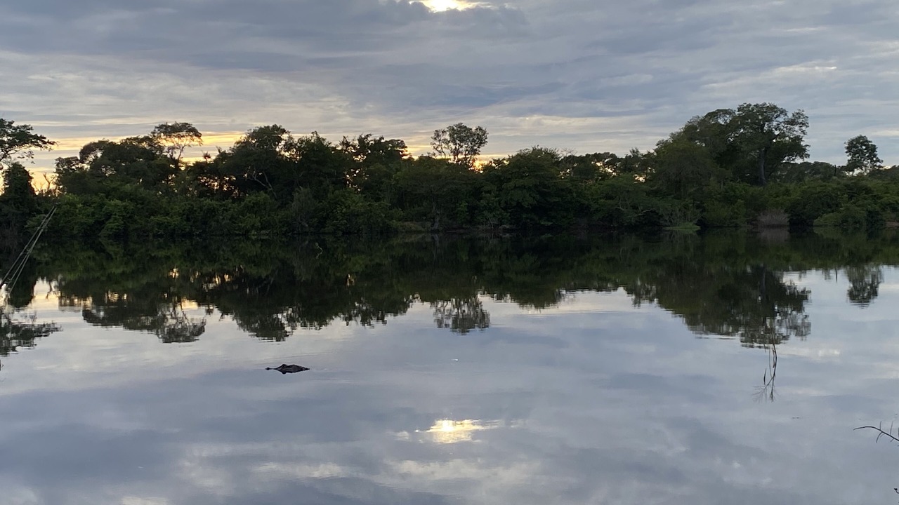 Photo of Others in Sao Miguel do Araguaia