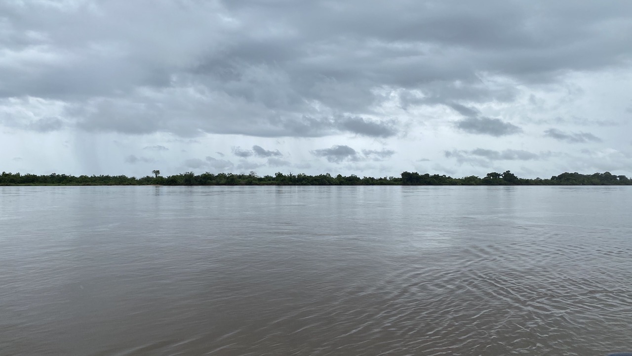 Photo of Others in Sao Miguel do Araguaia