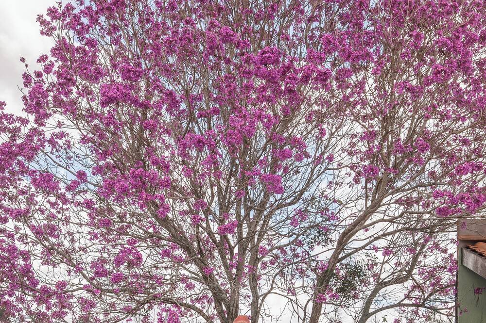 Photo of Outdoor in Campina Grande