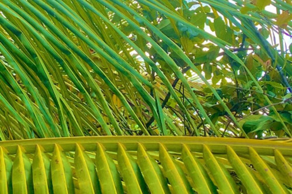 Photo of Outdoor in Barra de Sao Miguel