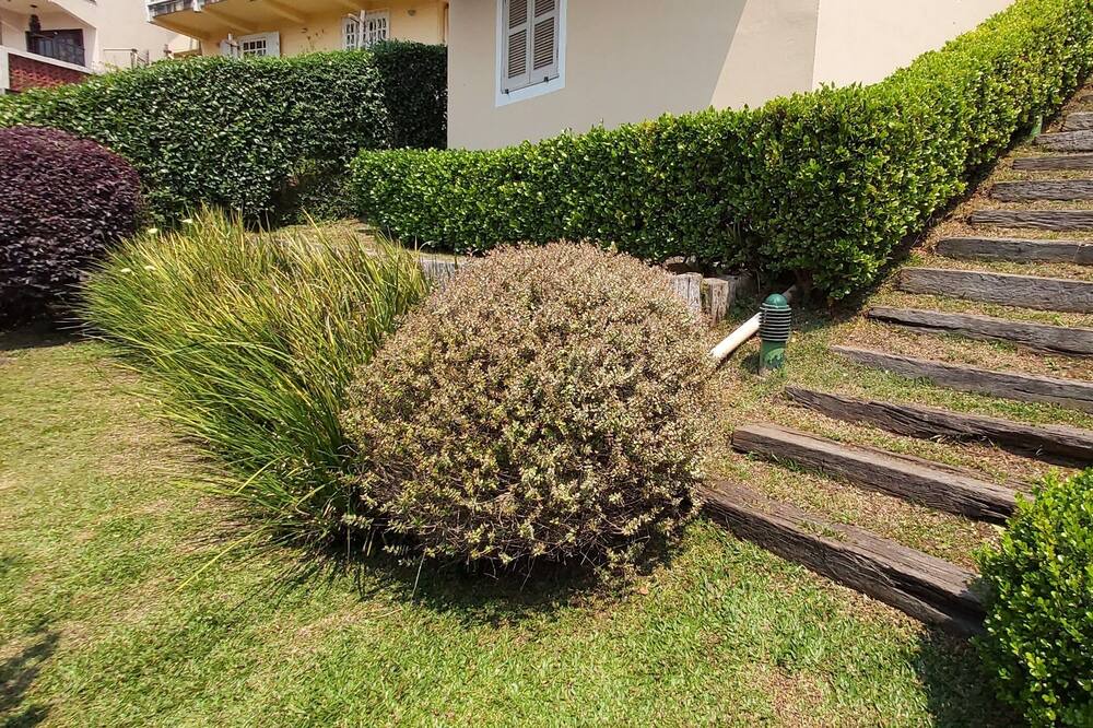 Photo of Outdoor in Vila Albertina