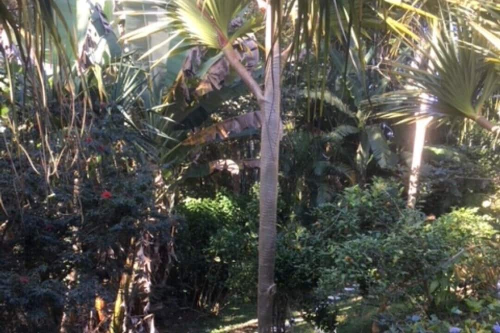 Photo of Outdoor in Itapecerica da Serra