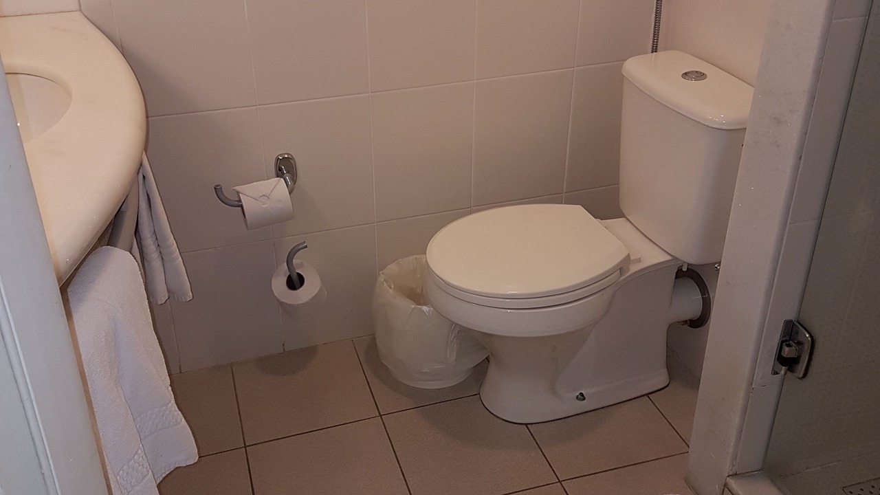 Photo of Bathroom in Sertaozinho