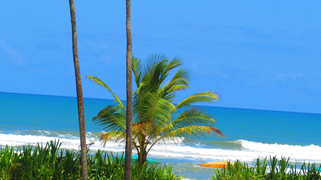 Photo of Others in Serra Grande