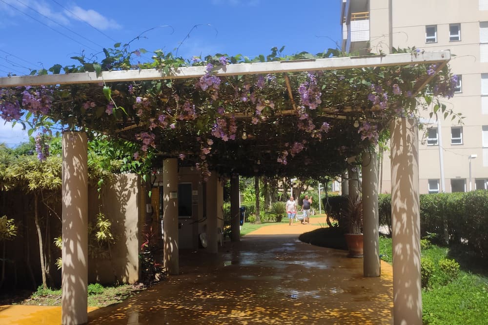 Photo of Outdoor in Sao Lourenco