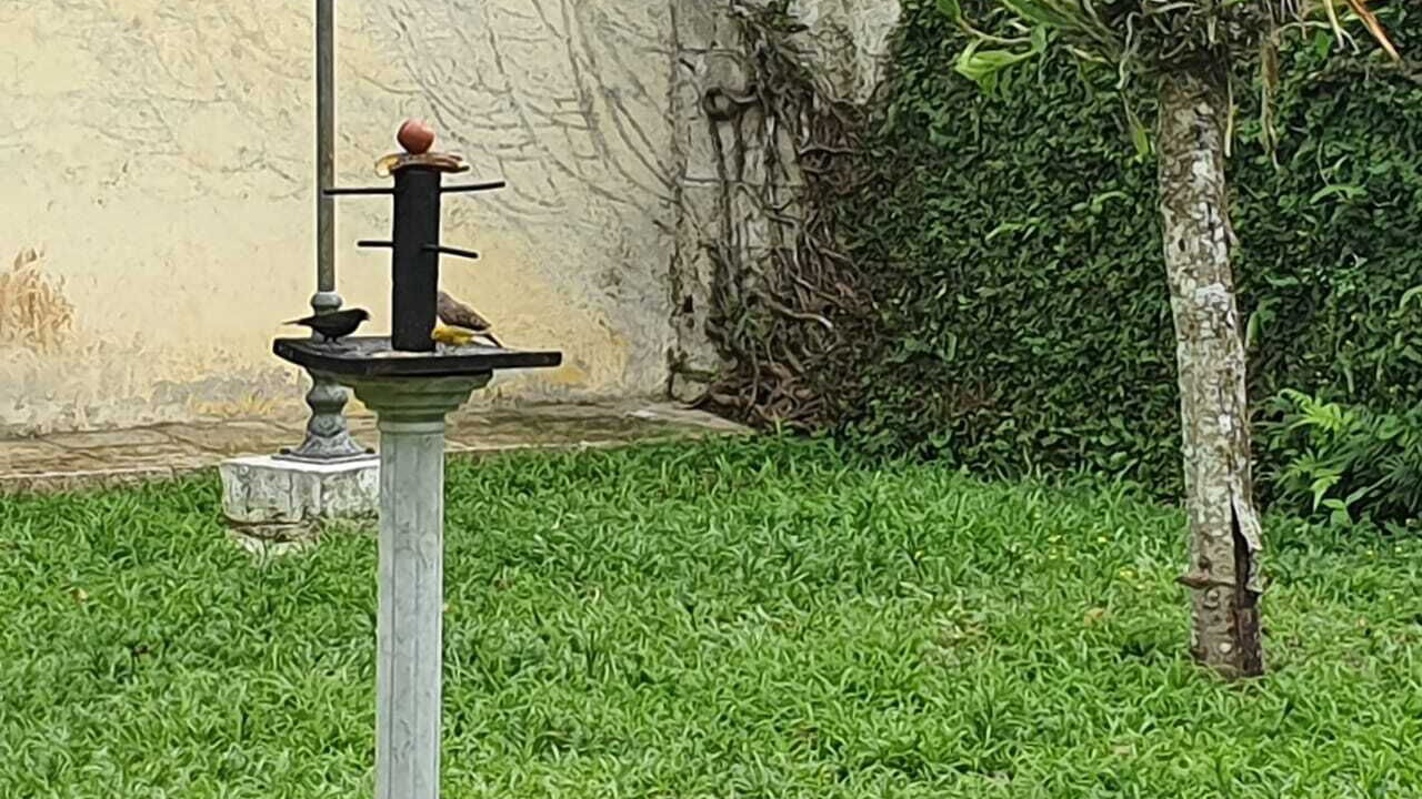 Photo of Outdoor in Barra da Lagoa