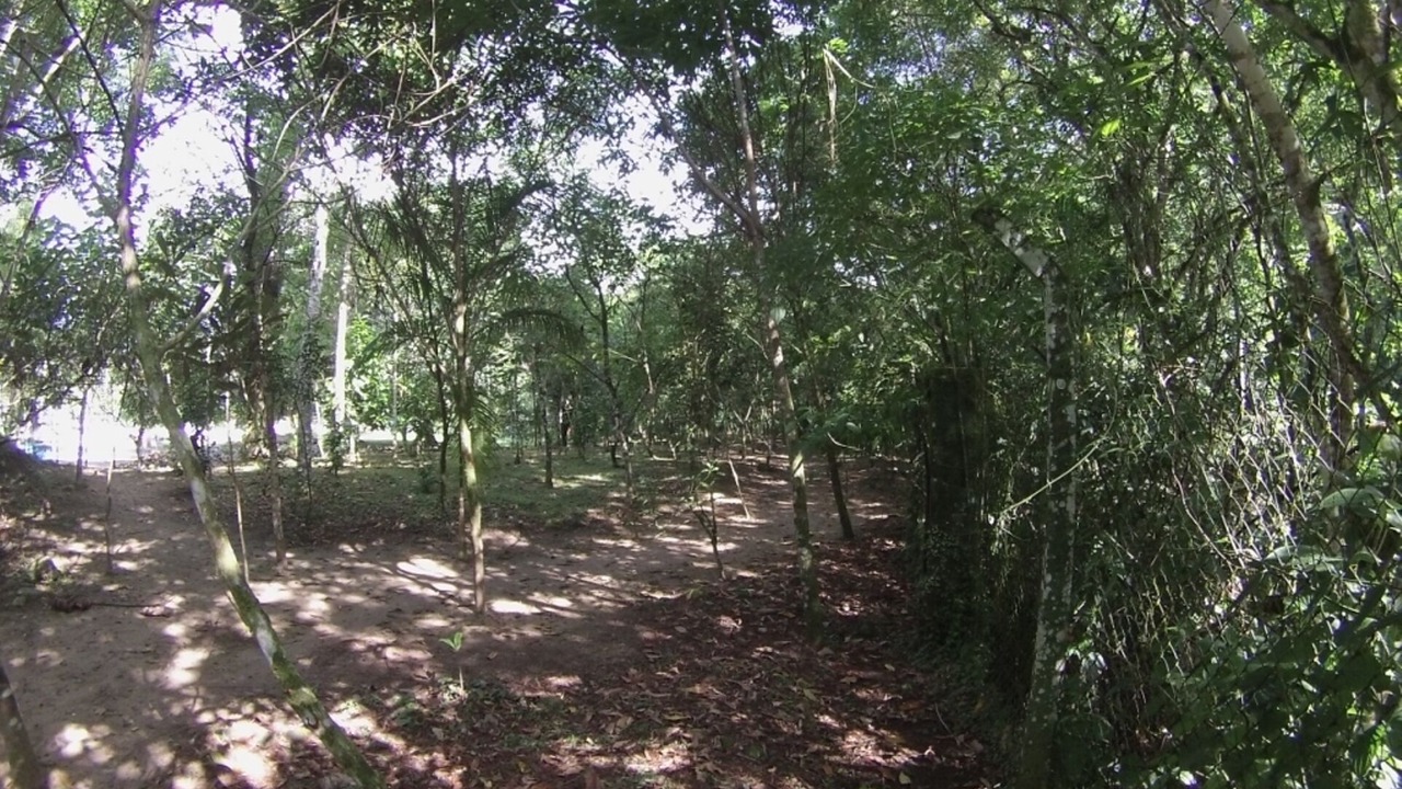 Photo of Outdoor in Horto