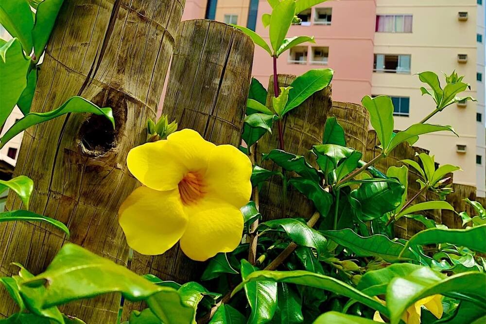 Photo of Outdoor in Pousada do Rio Quente
