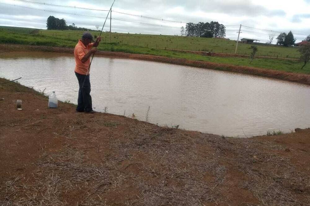 Photo of Others in Guarei