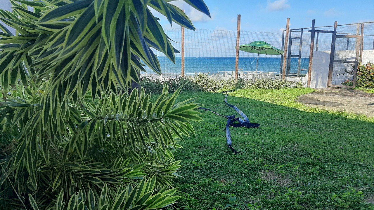 Photo of Outdoor in Ceara-Mirim