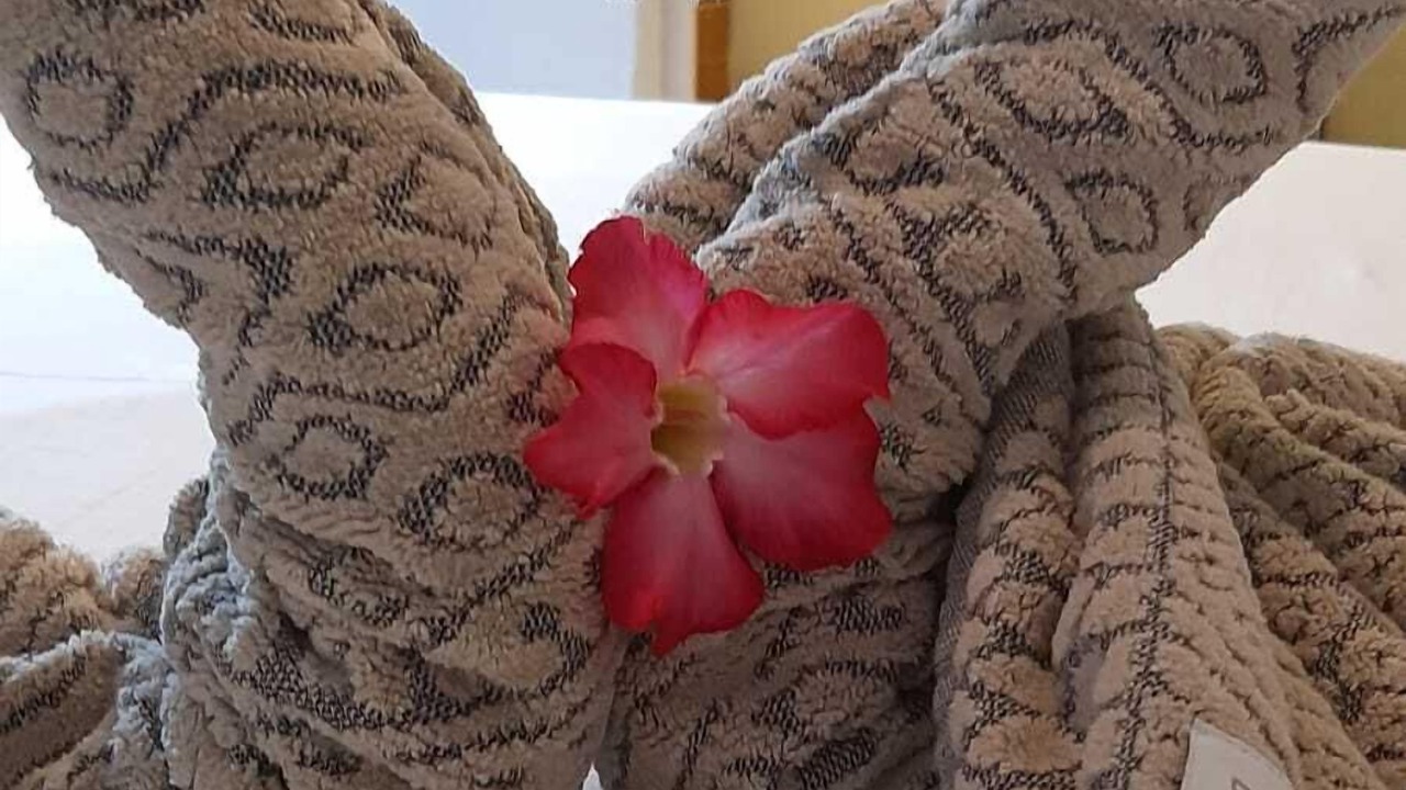 Photo of Bedroom in Riacho Doce