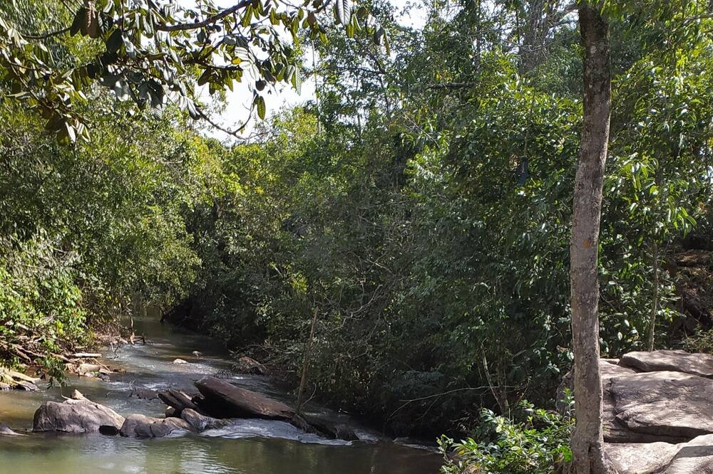 Photo of Others in Pirenopolis