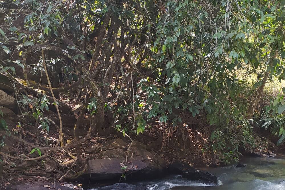 Photo of Others in Pirenopolis