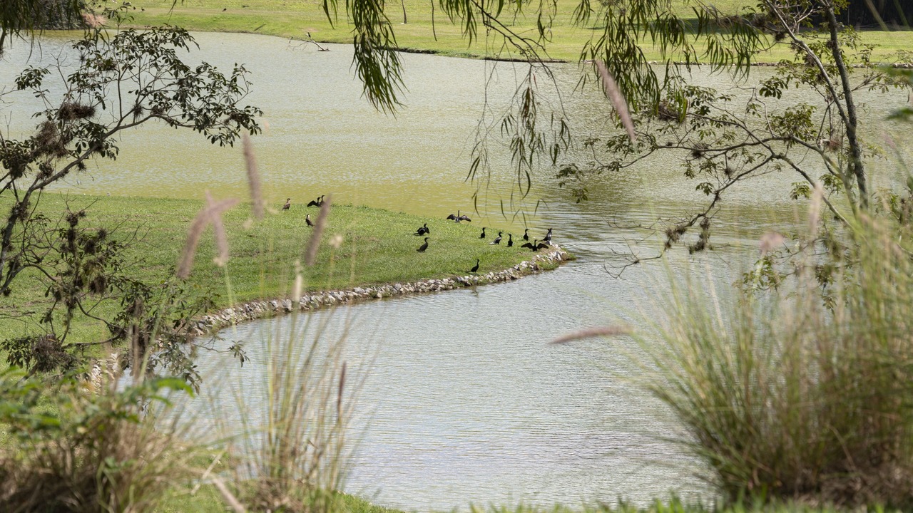 Photo of Outdoor in Braganca Paulista