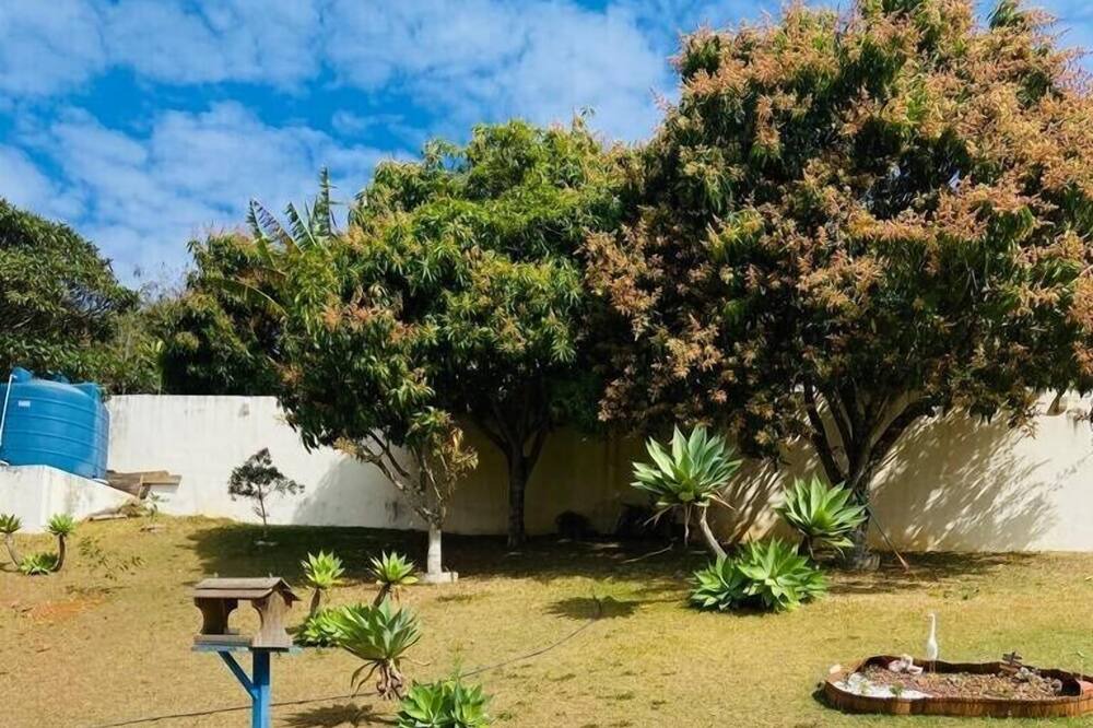 Photo of Outdoor in Pinhalzinho