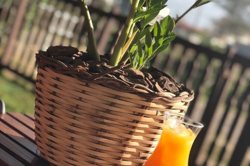 Photo of Patio Balcony in Imbituba