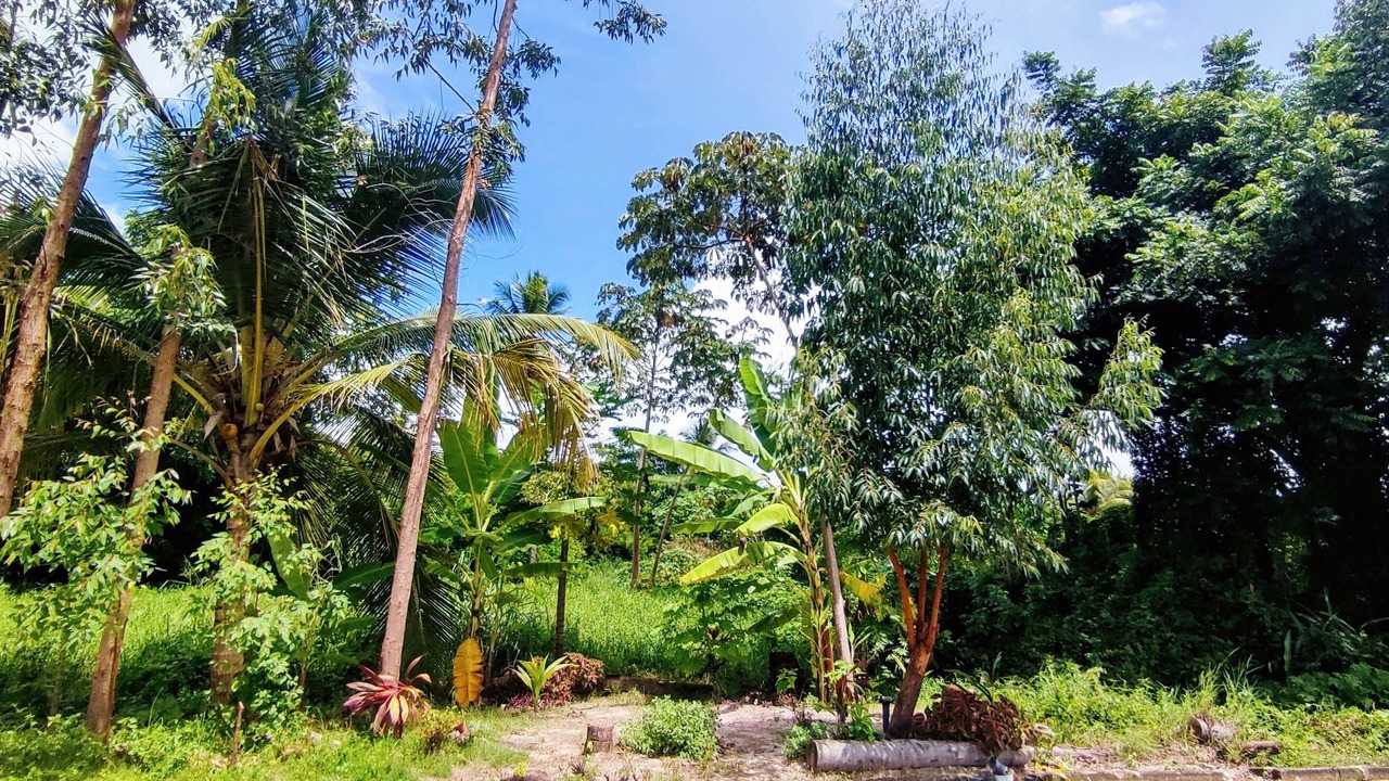 Photo of Outdoor in Sao Jose da Coroa Grande