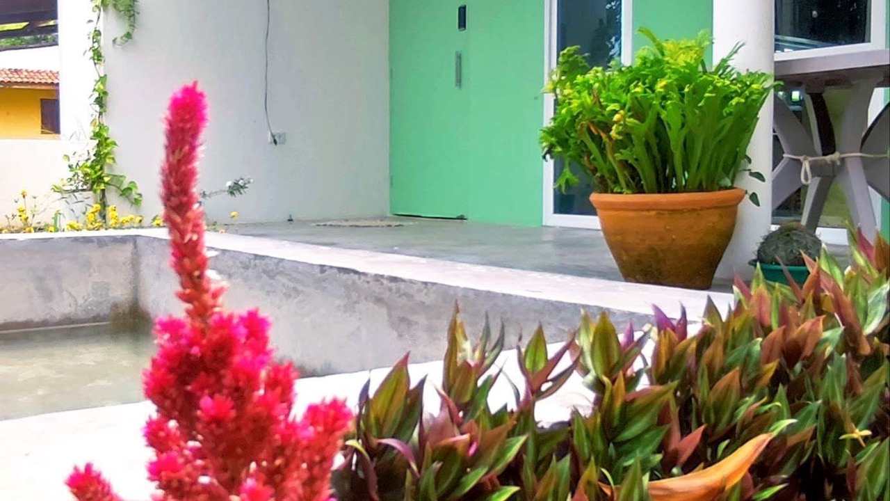 Photo of Outdoor in Sao Jose da Coroa Grande