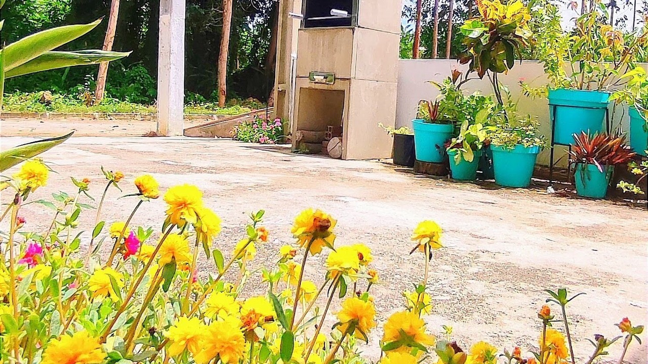Photo of Outdoor in Sao Jose da Coroa Grande