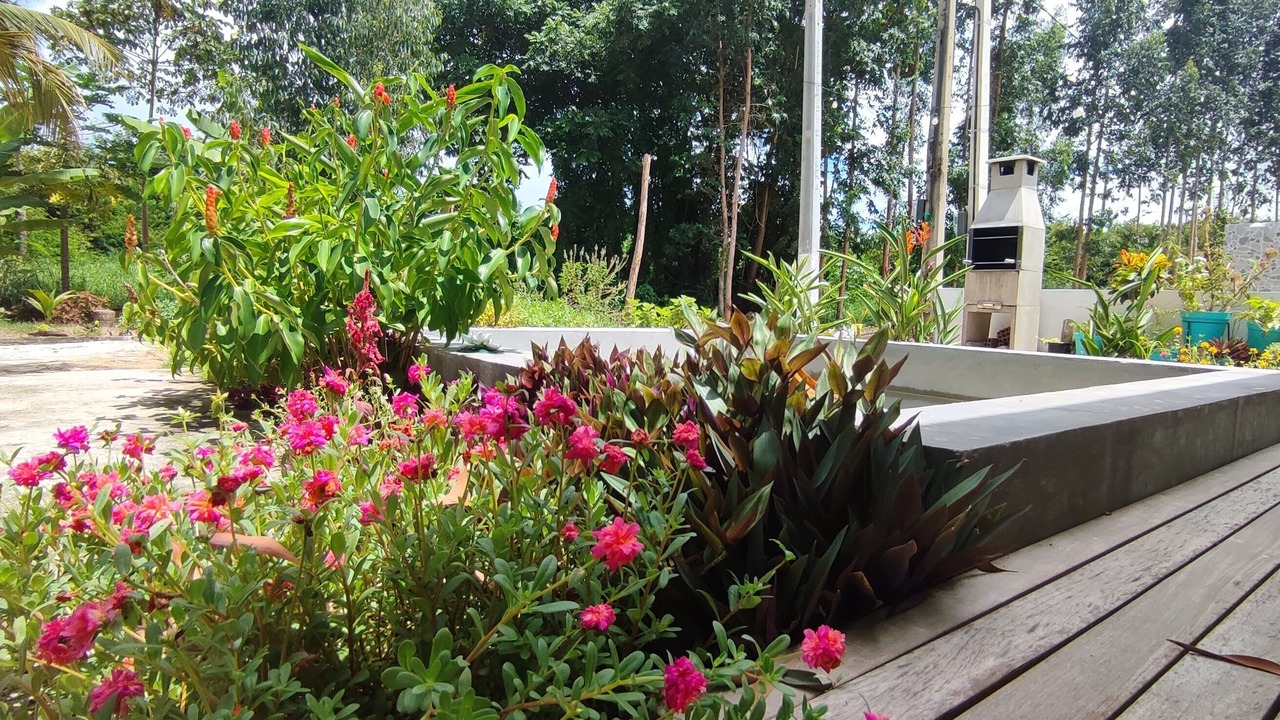 Photo of Outdoor in Sao Jose da Coroa Grande