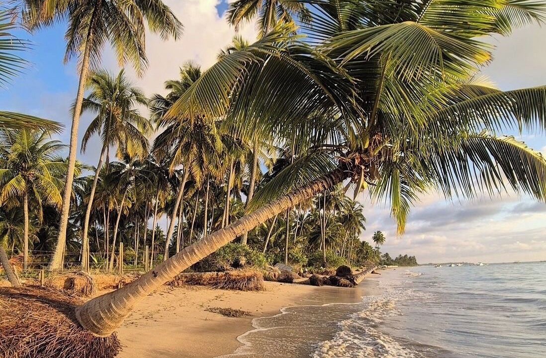 Photo of Others in Barra Grande