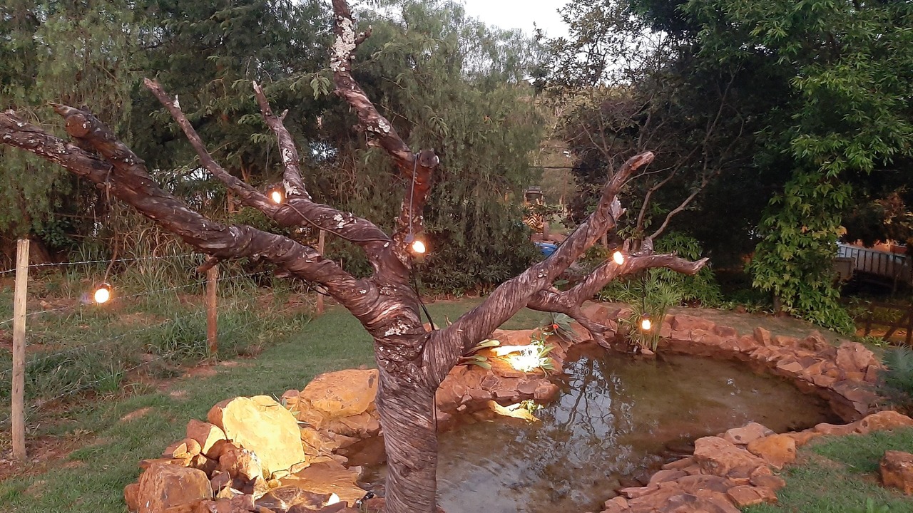 Photo of Outdoor in Brotas