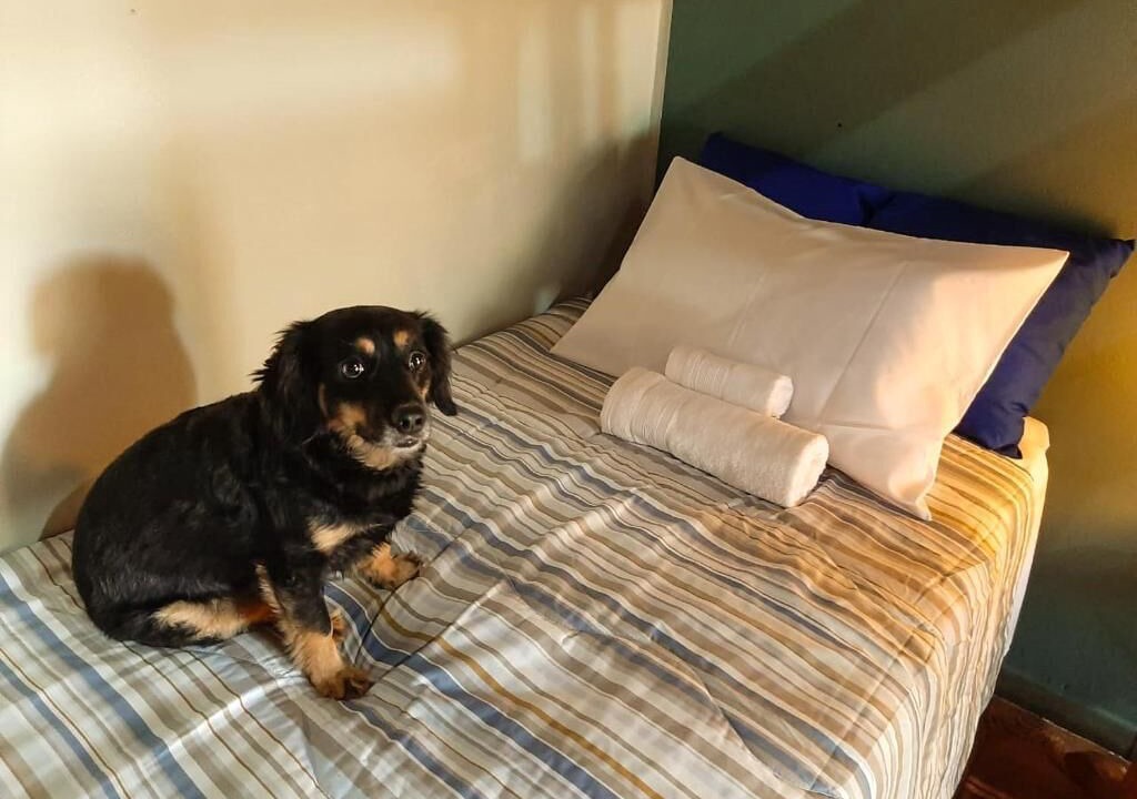 Photo of Bedroom in Brotas