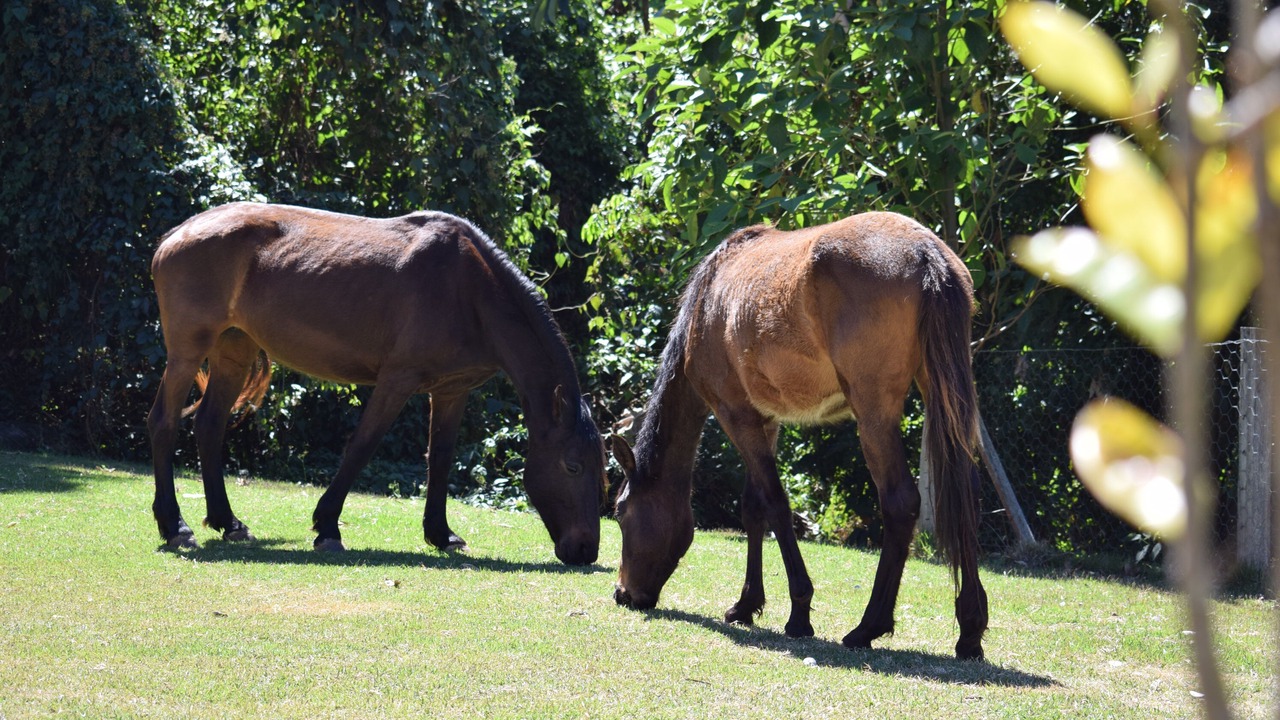 Photo of Outdoor in Aguas de Lindoia