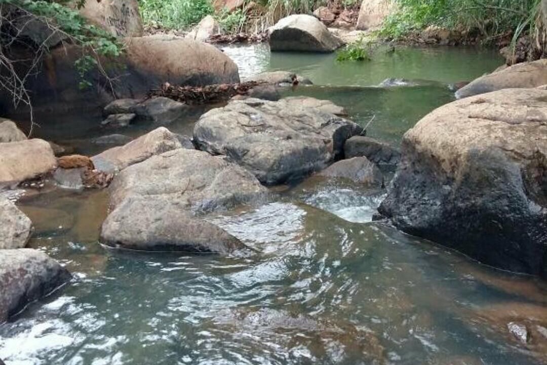 Photo of Outdoor in Triunfo
