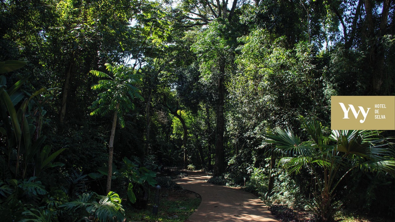 Photo of Outdoor in Puerto Iguazu